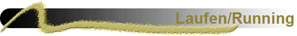 Laufen/Running
